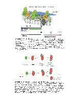 Bhagavan Medical Biochemistry 2001, page 1060